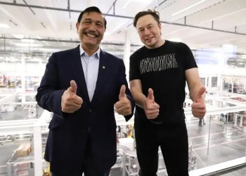 Elon Musk dan luhut